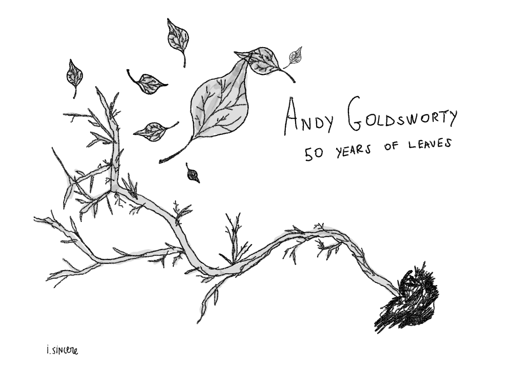 50 years of&nbsp;leaves